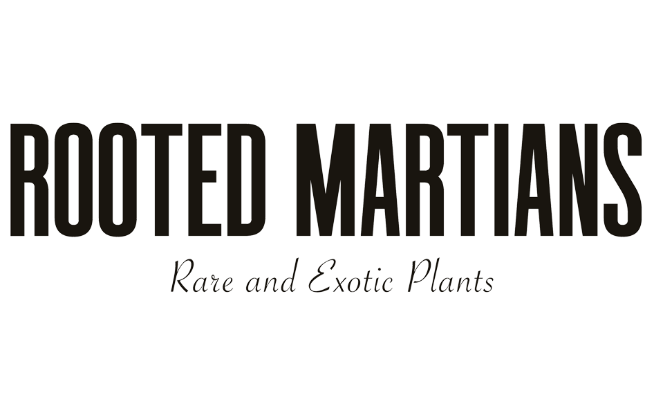 Rooted Martians