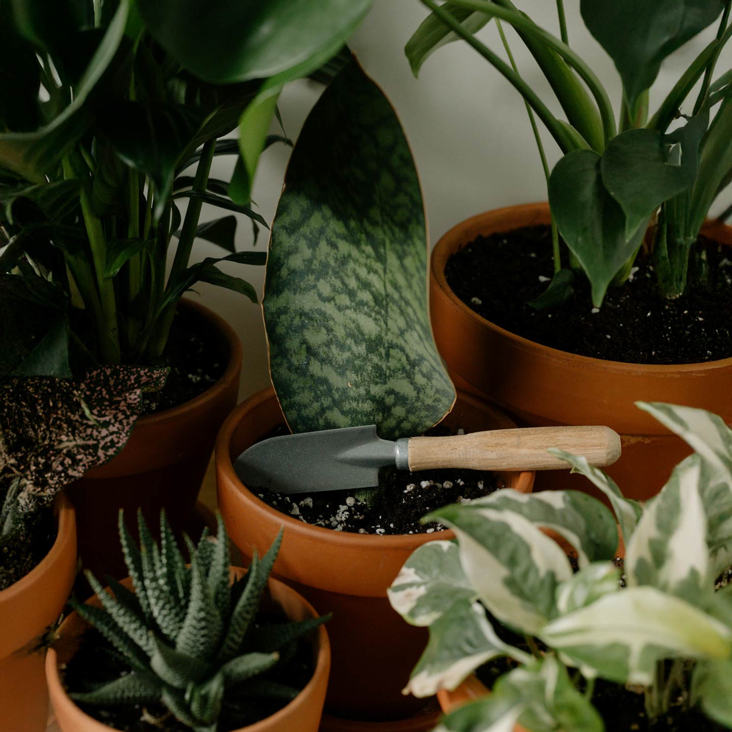Monthly Plant maintenance