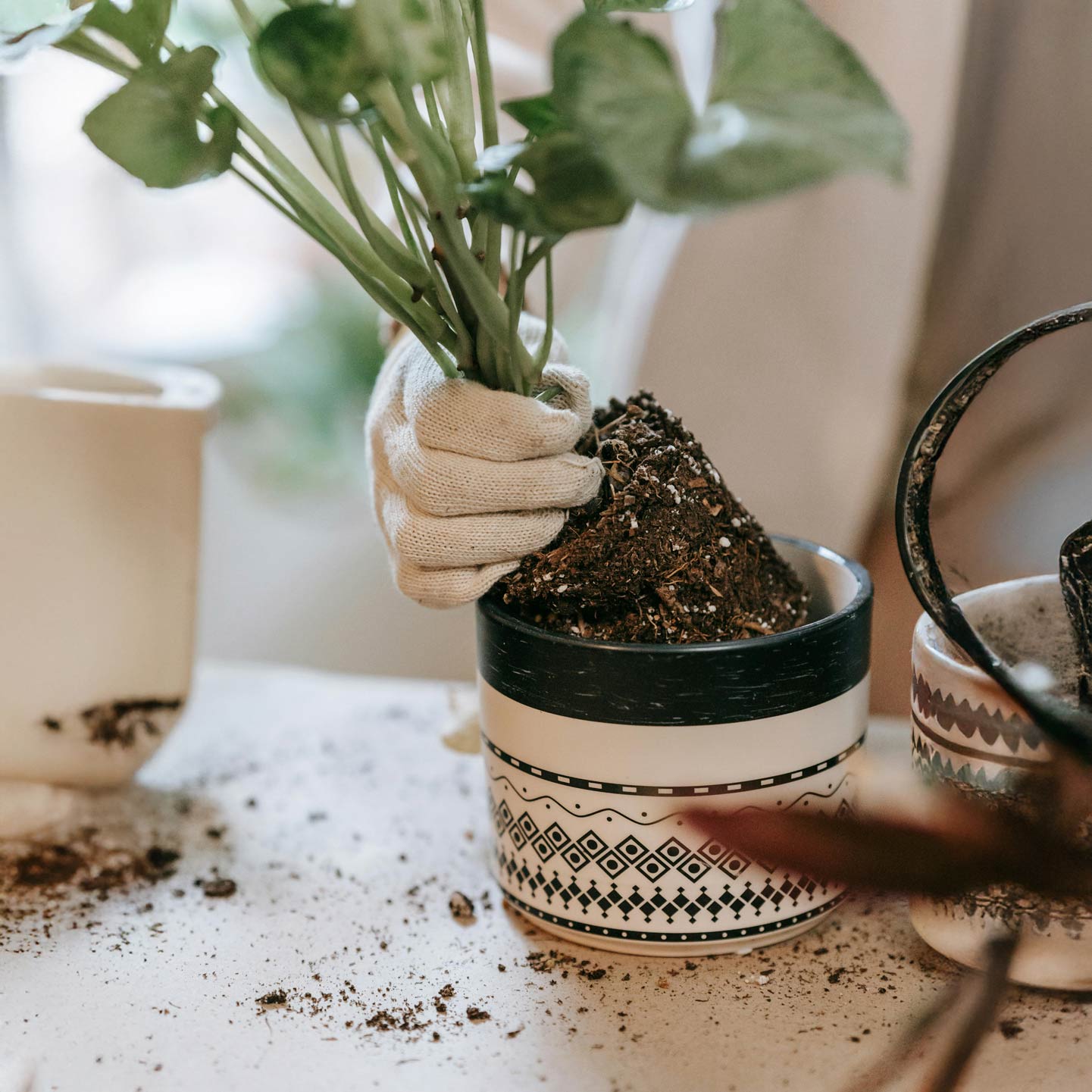 Monthly Plant maintenance
