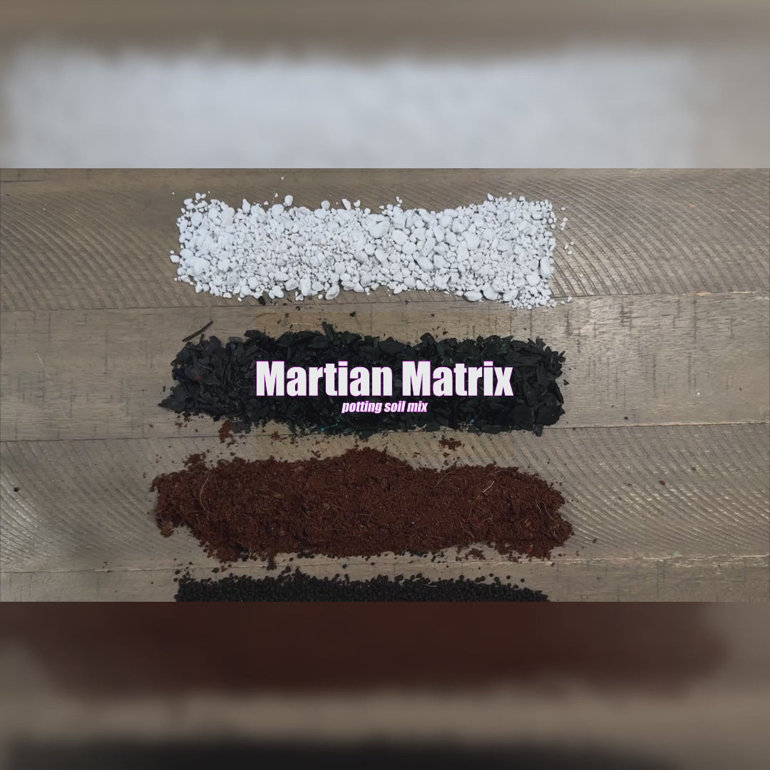 Martian Matrix
